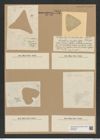 Triceratium cariosum Castr. (de-Toni-Nr.: Genus 140, Species 3821) Zeichnungen Sammlung Grunow Nr. 7319 (NHMW-BOT-W0376359)